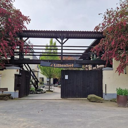 Besondere Ferienwohnung Spirit Auf Idyllischem Reiterhof Nahe Burg Eltz Münstermaifeld Eksteriør bilde