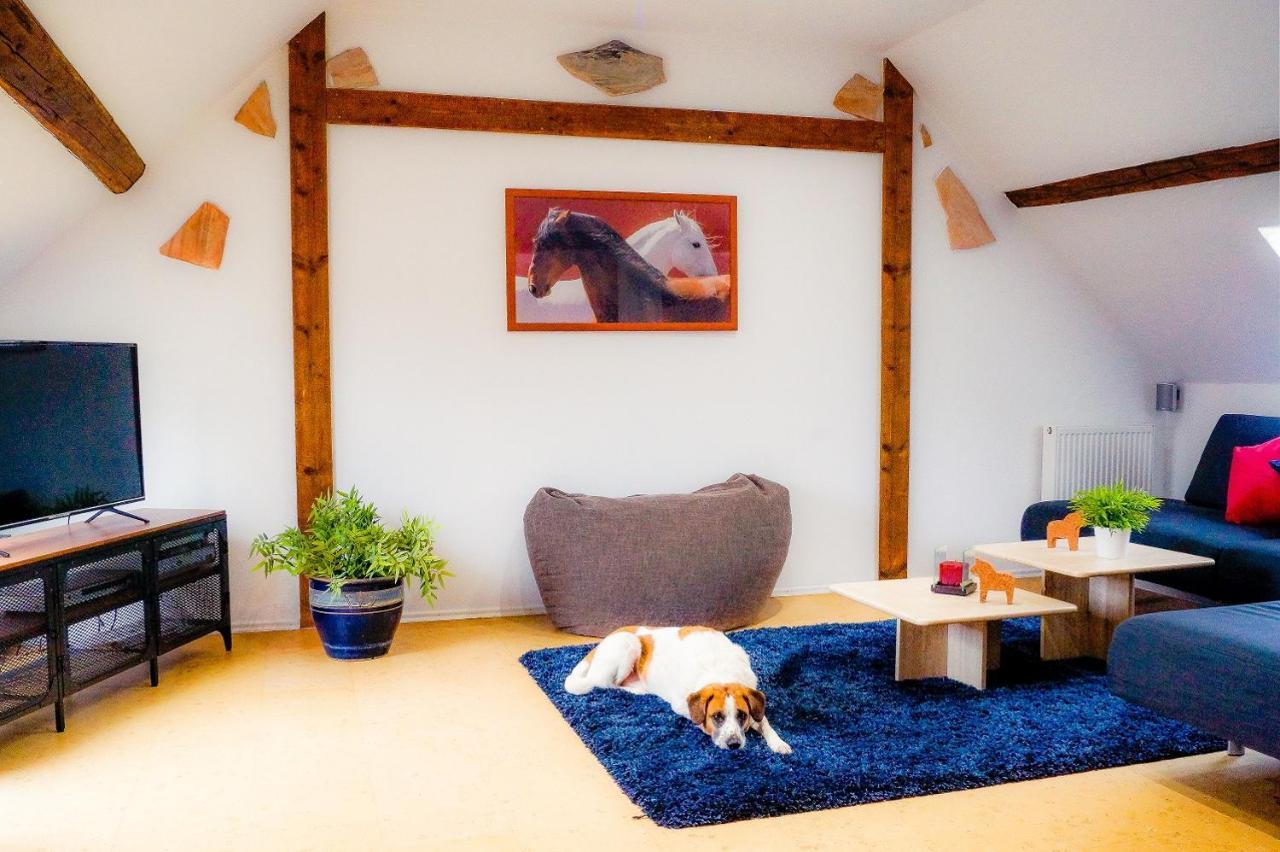Besondere Ferienwohnung Spirit Auf Idyllischem Reiterhof Nahe Burg Eltz Münstermaifeld Eksteriør bilde