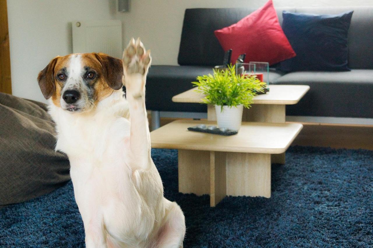 Besondere Ferienwohnung Spirit Auf Idyllischem Reiterhof Nahe Burg Eltz Münstermaifeld Eksteriør bilde
