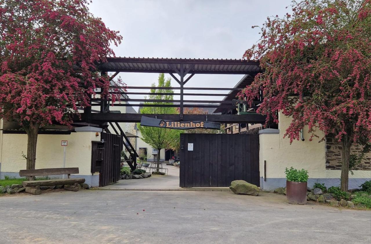 Besondere Ferienwohnung Spirit Auf Idyllischem Reiterhof Nahe Burg Eltz Münstermaifeld Eksteriør bilde